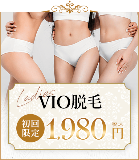 VIO脱毛 1,980円
